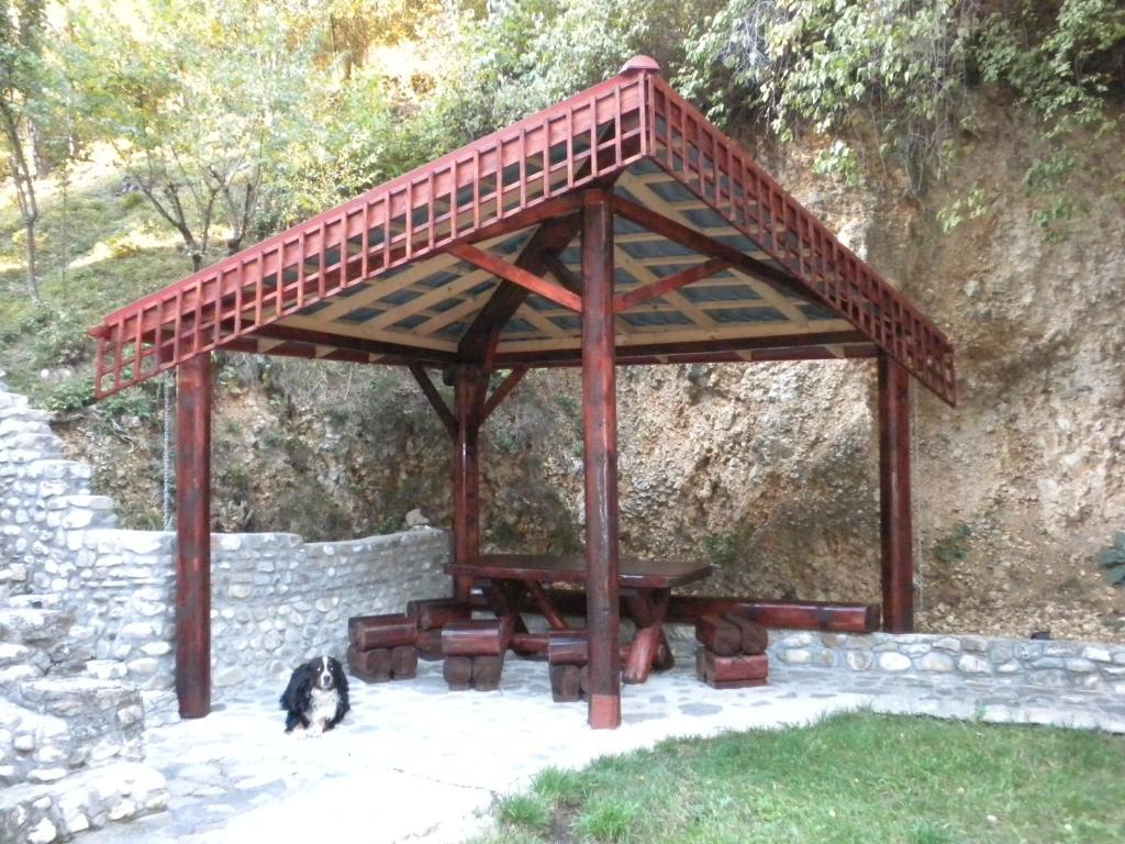 Rem'S Pension Rîşnov المظهر الخارجي الصورة